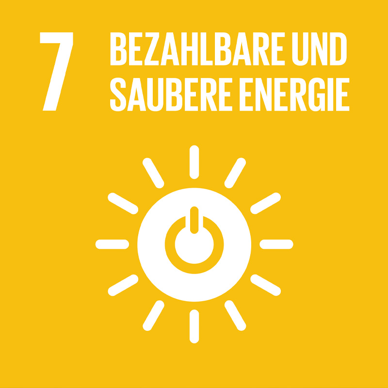 Sdg Icon De 07
