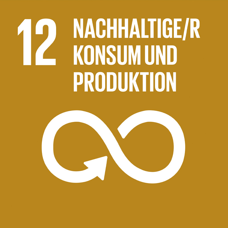 Sdg Icon De 12